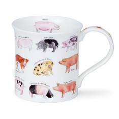 Dunoon Animal Breeds Pigs Mug image 0